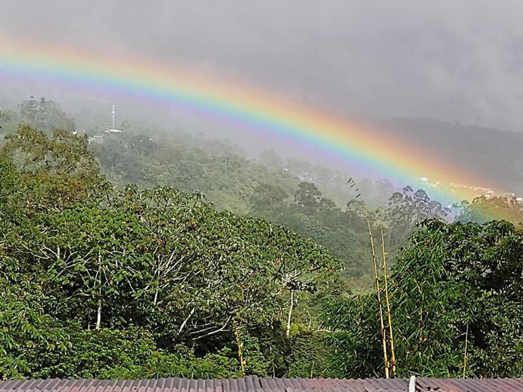 Hotel Green Mountain Turrialba Exterior photo