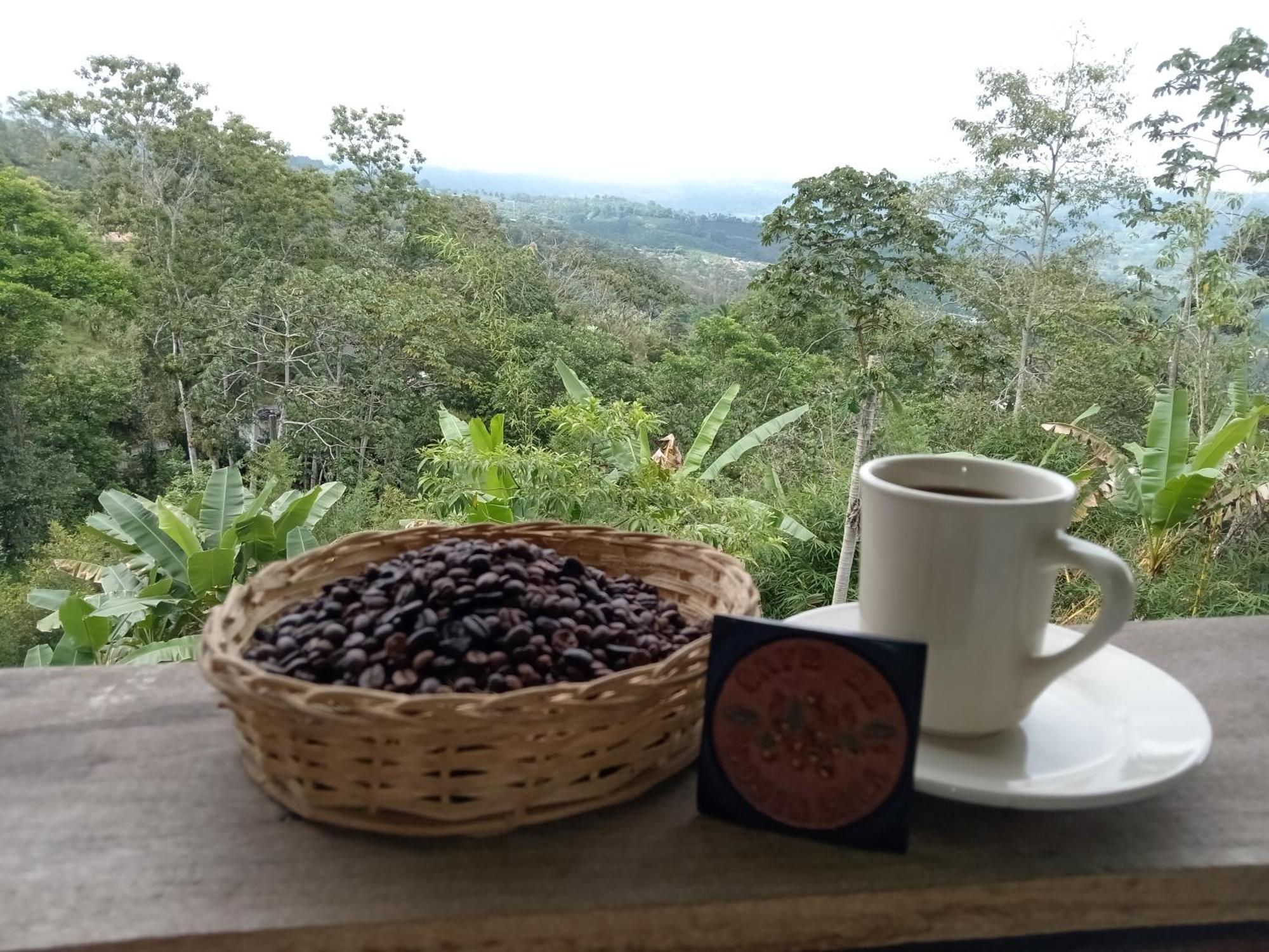 Hotel Green Mountain Turrialba Exterior photo