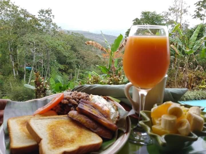 Hotel Green Mountain Turrialba Exterior photo
