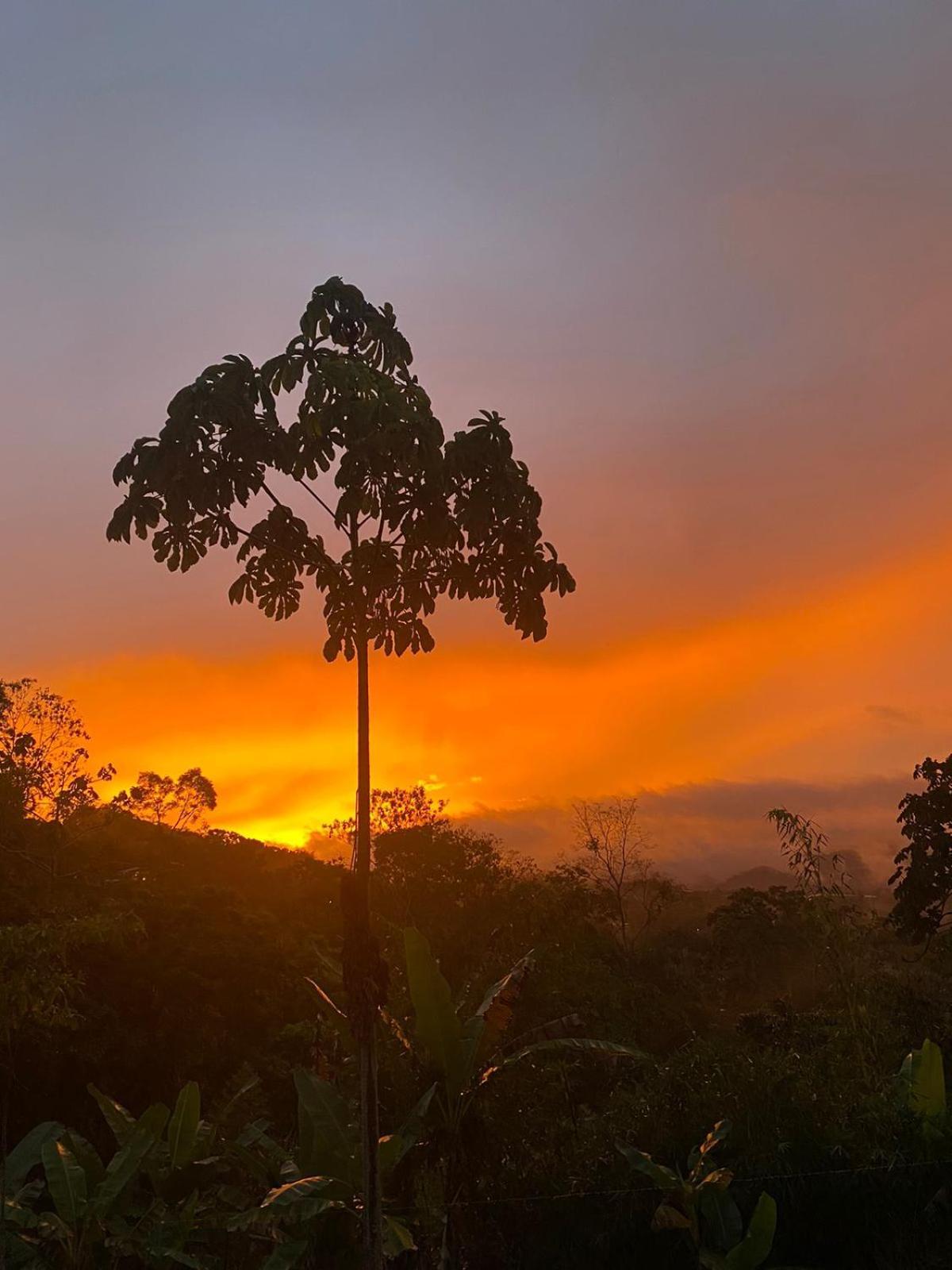 Hotel Green Mountain Turrialba Exterior photo